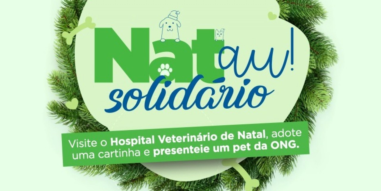 Hospital Veterinário de Natal faz campanha para ajudar animais abandonados