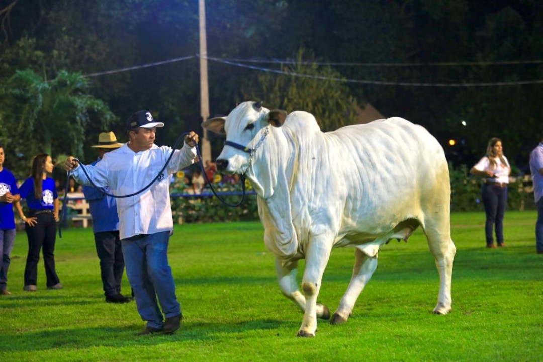 Solenidade de abertura da 61ª Festa do Boi foi marcada pelo tradicional desfile de animais e por homenagens 