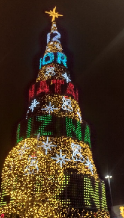 Com novo projeto, Árvore de Natal de Ponta Negra será ligada nesta segunda-feira (20)