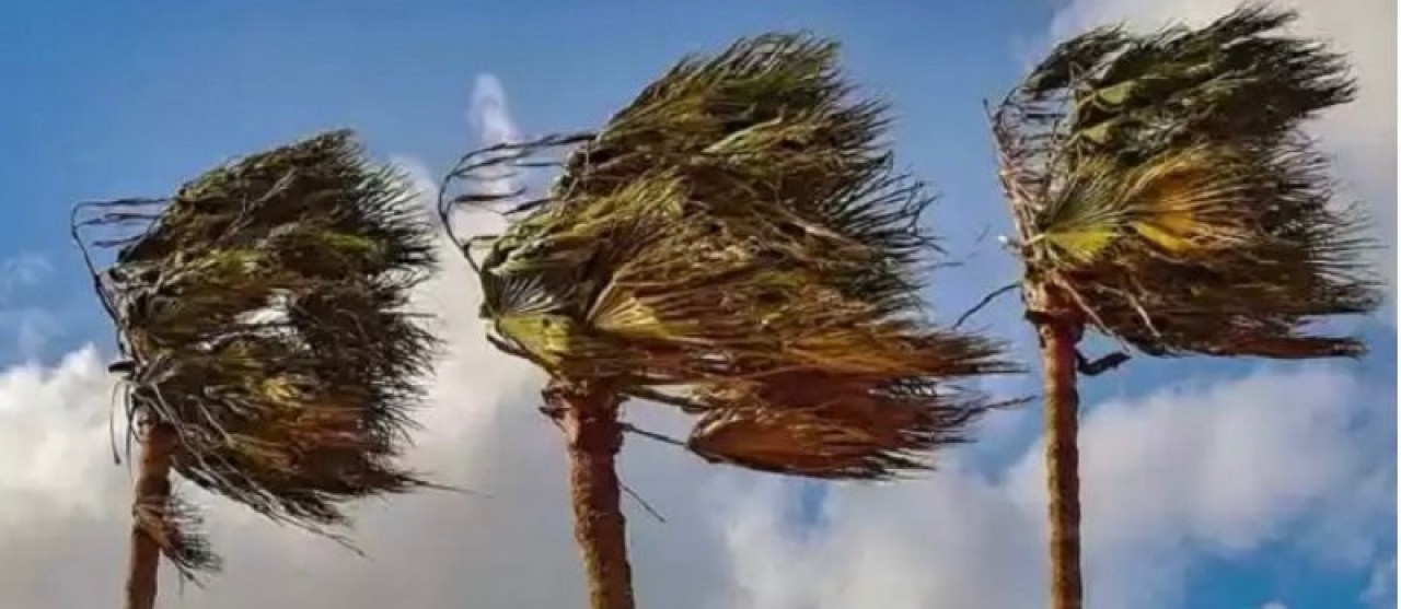 Emparn registra rajadas de vento que superaram 30km/h no interior do RN 