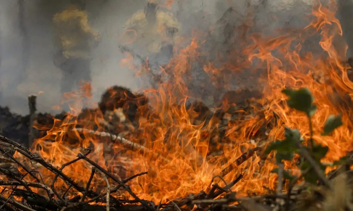 Câmara de Natal aprova lei de combate a incêndios