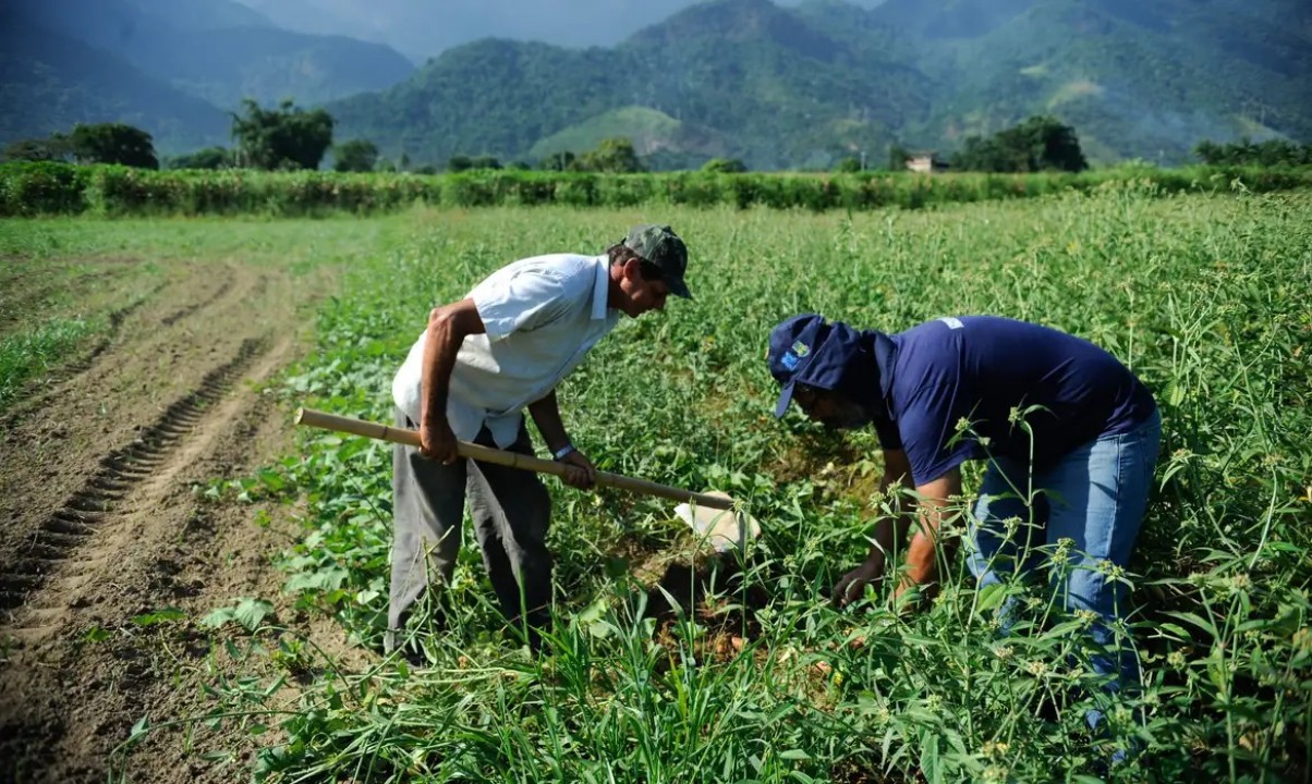  Governo deve destinar R$ 2 bilhões para proteção de agricultores contra eventos climáticos