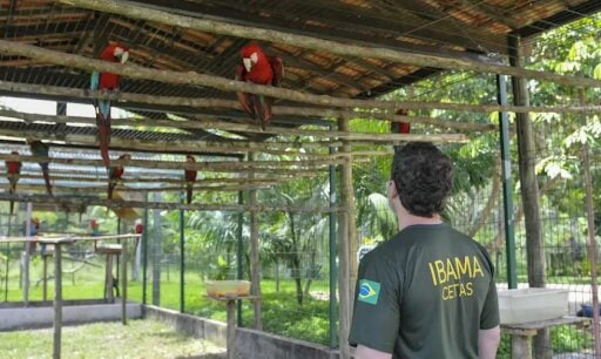 Servidores do Ibama/RN anunciam greve a partir da próxima quarta-feira (03)