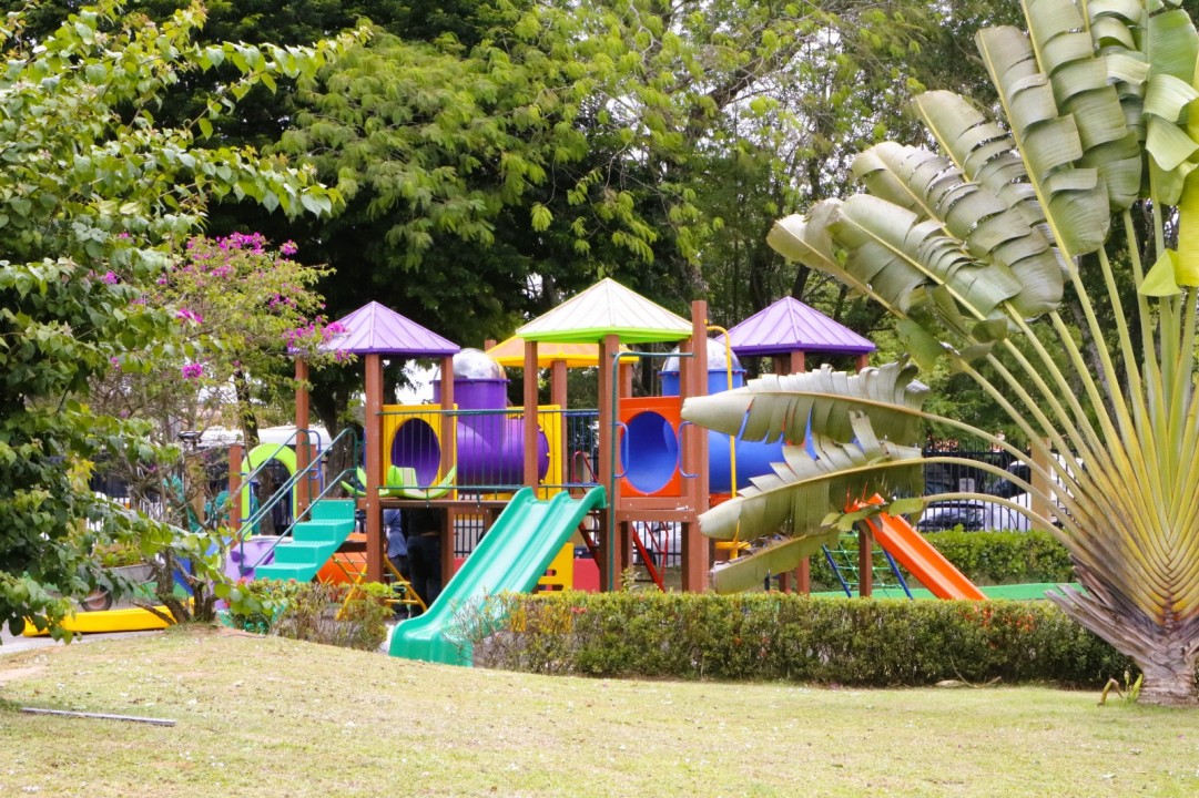 Parque Aluízio Alves: espaço de lazer e bem-estar no coração da cidade