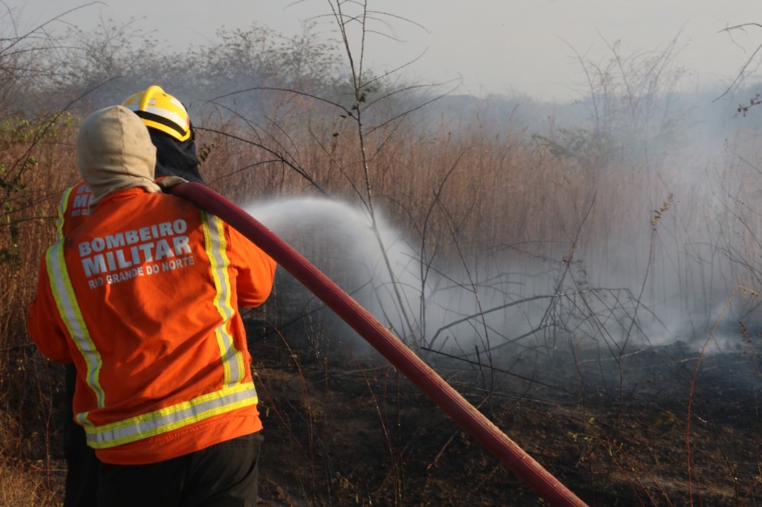 Bombeiros do RN atendem 24 ocorrências de incêndio em vegetação no fim de semana