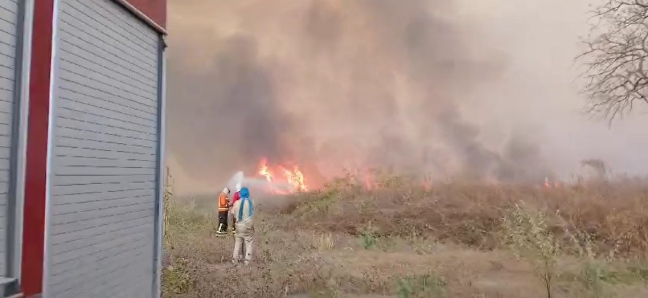 Bombeiros combatem incêndio por 7 horas em vegetação no RN 