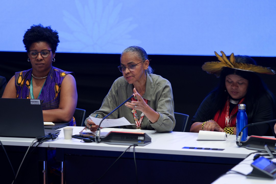 Marina Silva defende indígena detida na COP16 durante protesto