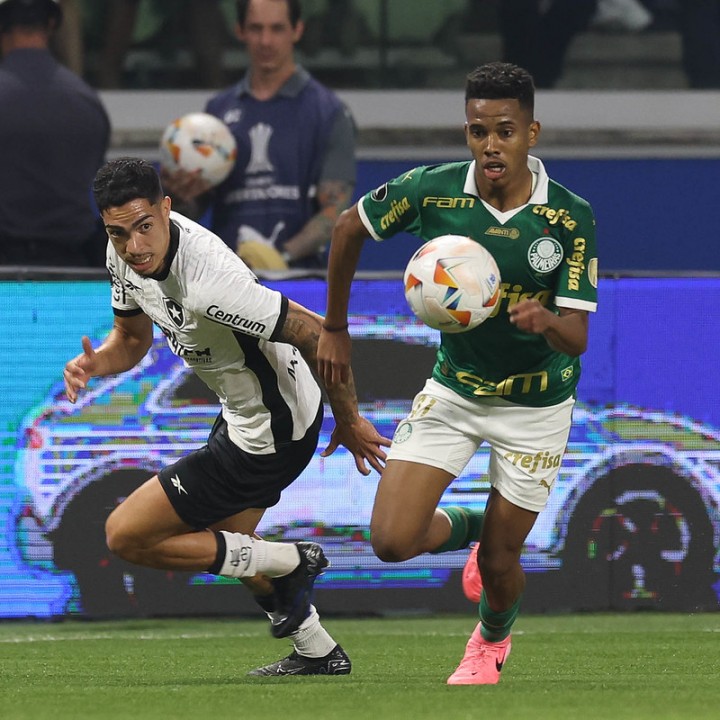 Final Antecipada? Palmeiras x Botafogo duelam pelo Brasileirão