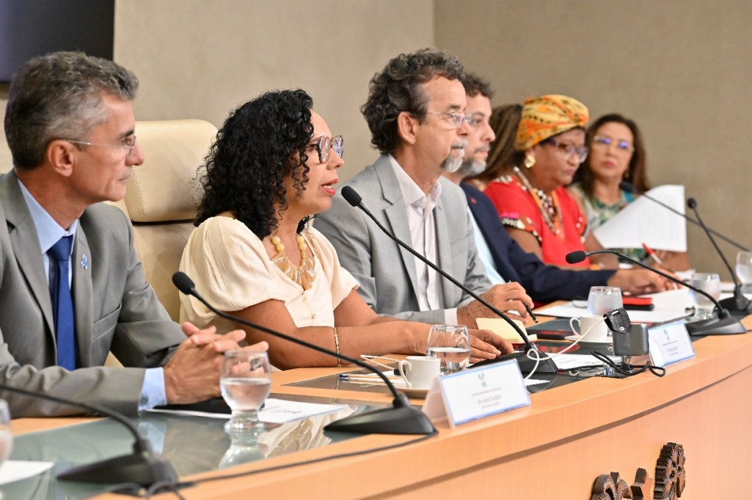 Audiência pública discute o novo PNE e as relações étnico-raciais na educação