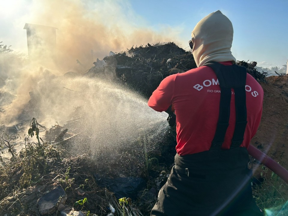 Bombeiros do RN atenderam mais de 1.800 ocorrências de incêndios em vegetação em 2024