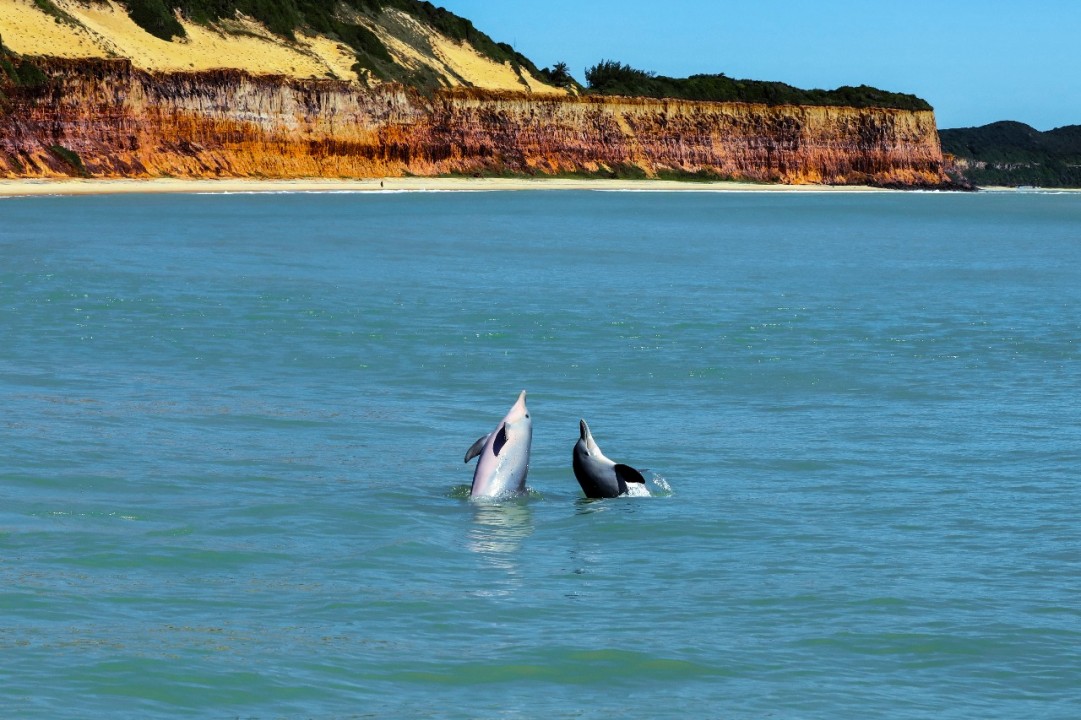 Rio Grande do Norte destaca as belezas de seu litoral na maior feira de turismo do mundo