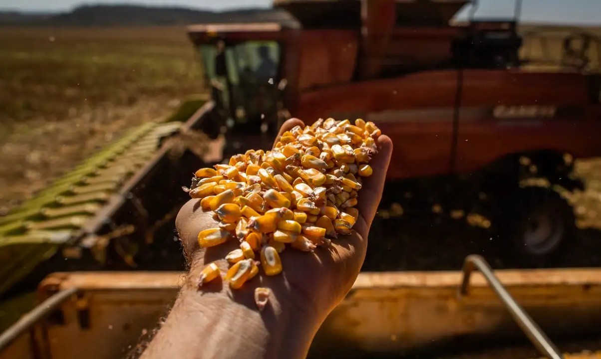 Com nova safra, governo espera redução do preço dos alimentos