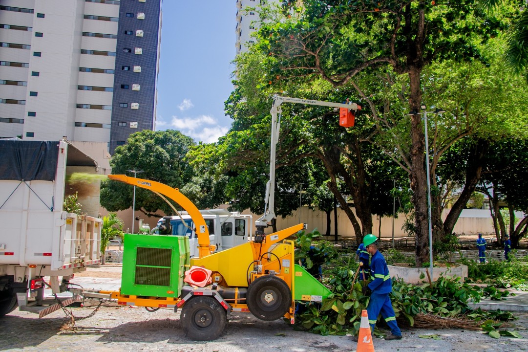 Semsur realiza manejo arbóreo preventivo em Natal para o período chuvoso