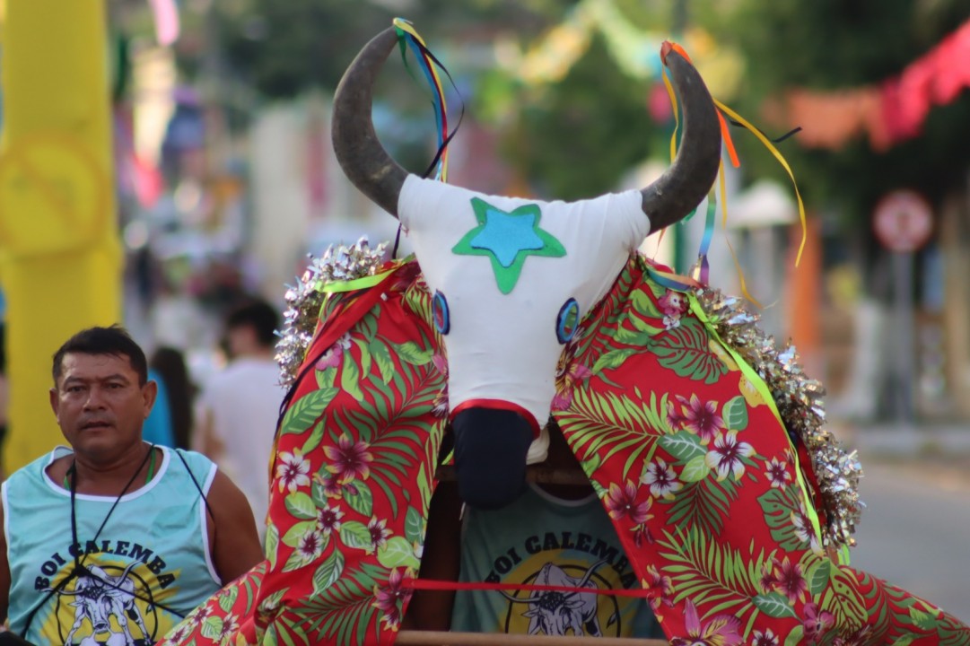 Cultura e Tradição: Pirangi é palco para blocos de frevo e troças 